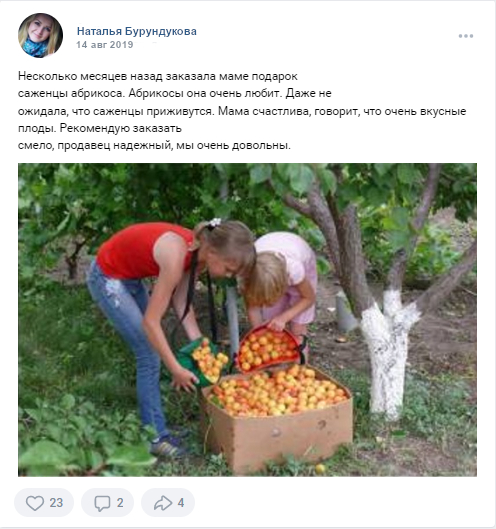 Заголовок