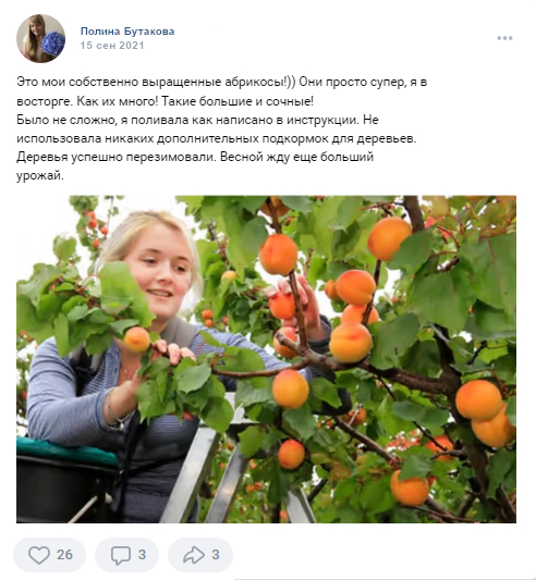 Заголовок