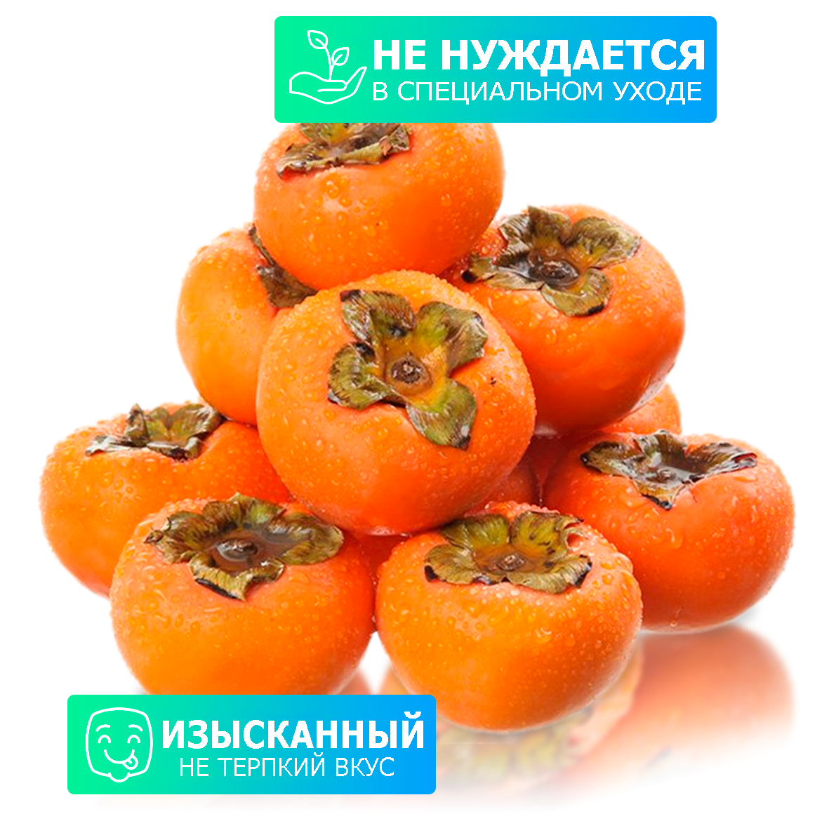 Заголовок