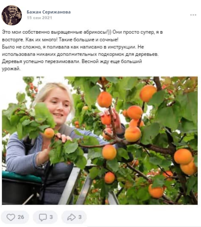 Заголовок