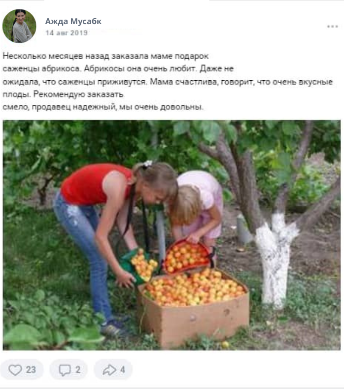 Заголовок