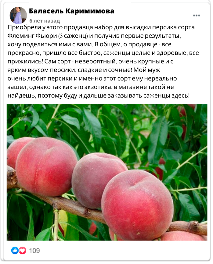 Заголовок