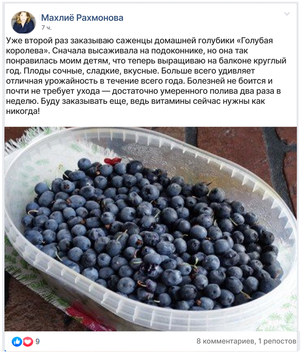 Заголовок