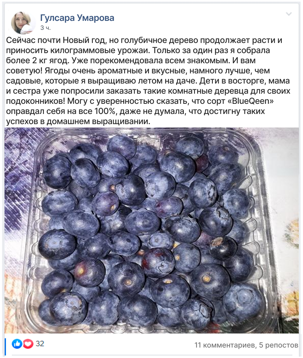 Заголовок