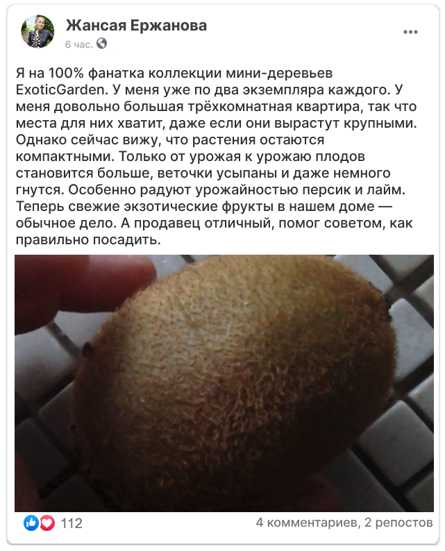 Заголовок