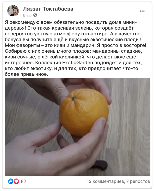 Заголовок