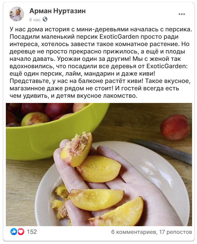Заголовок