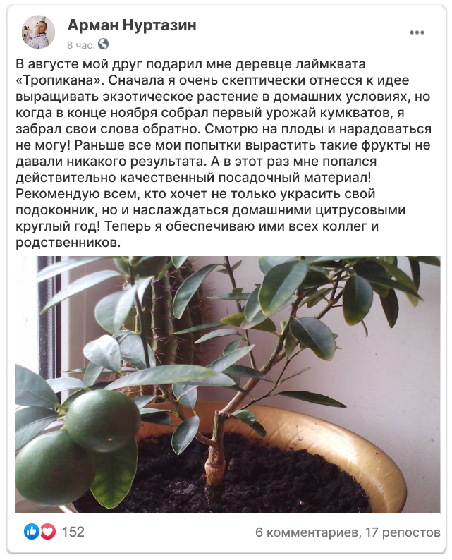 Заголовок