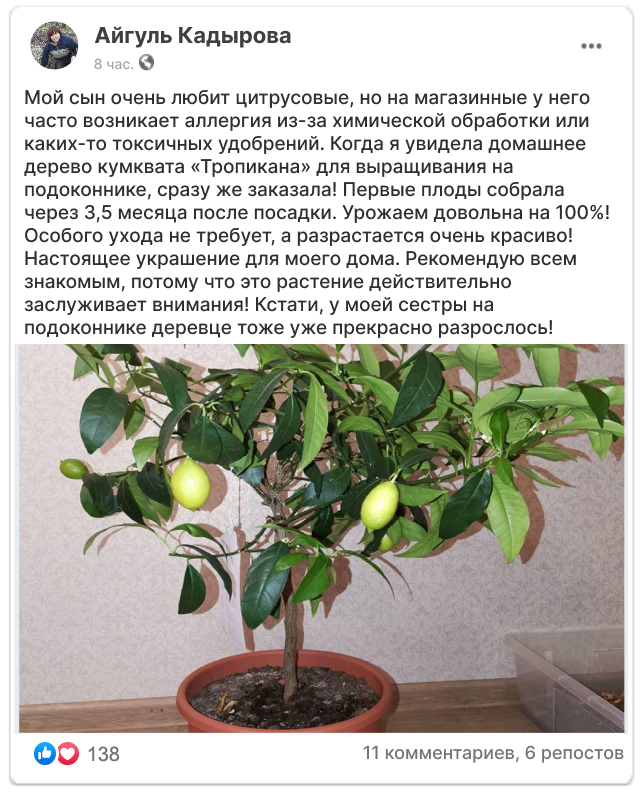 Заголовок