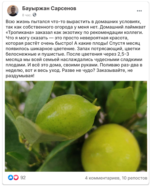 Заголовок