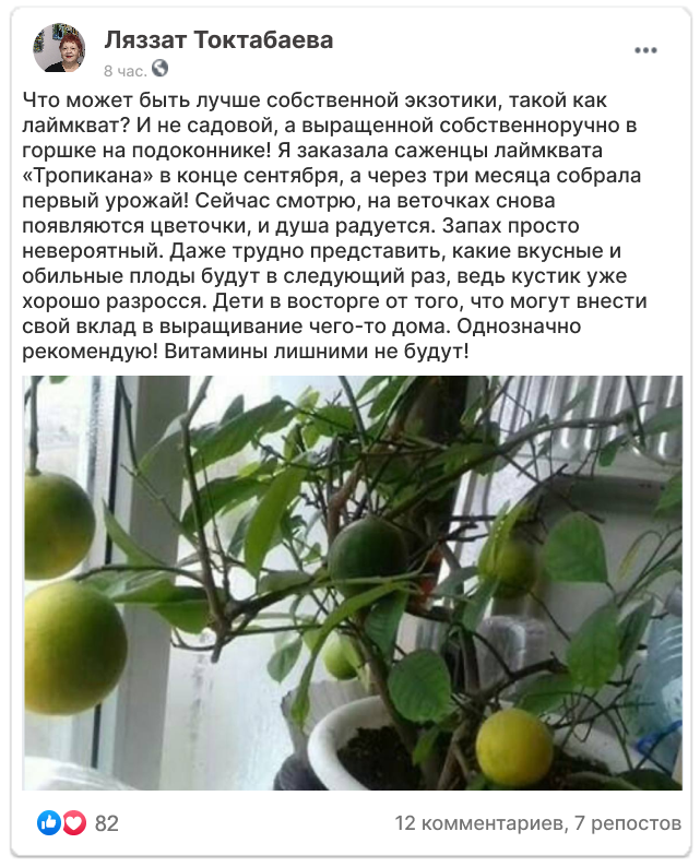 Заголовок