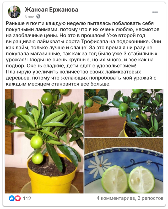 Заголовок