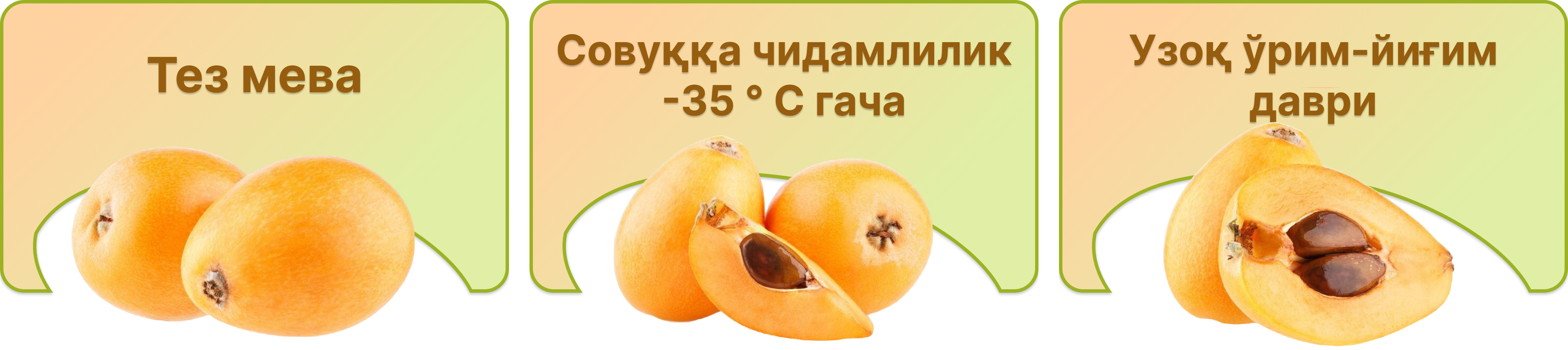 Заголовок