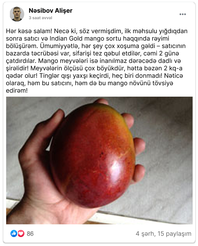 Заголовок