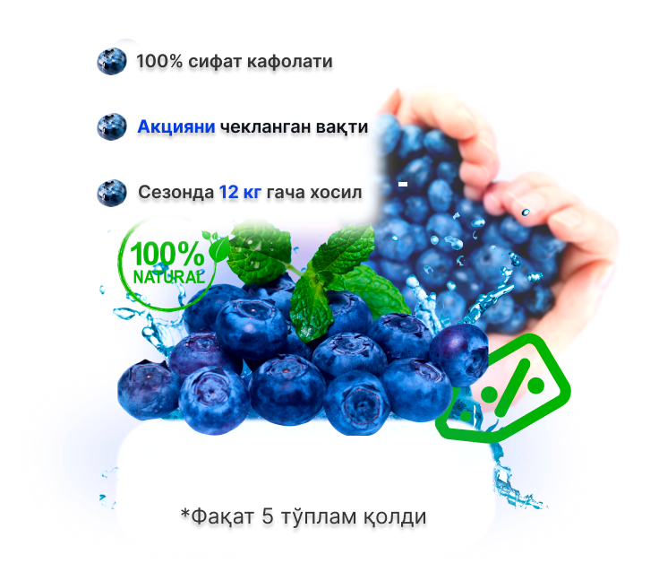 Заголовок