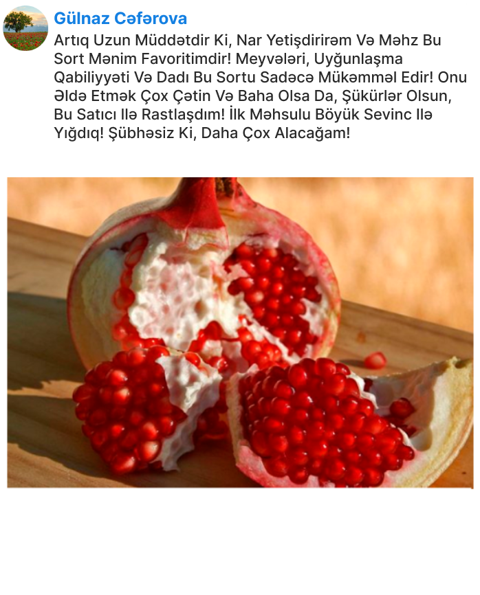 Заголовок