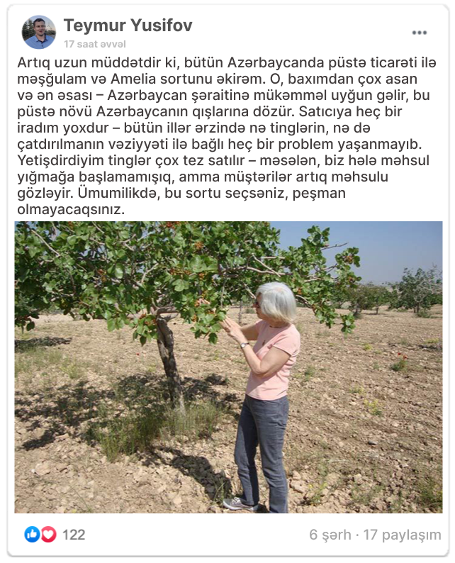 Заголовок