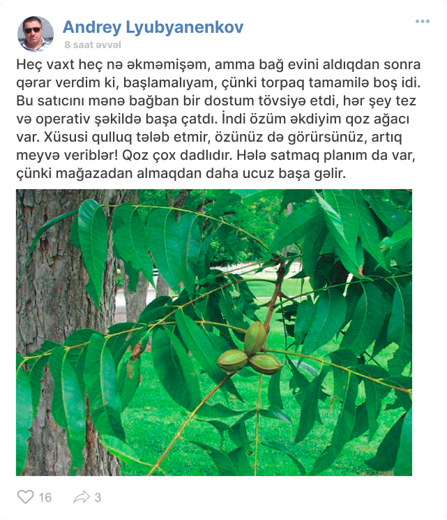 Заголовок