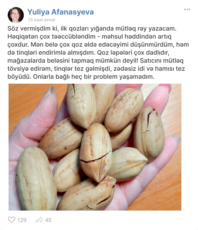 Заголовок