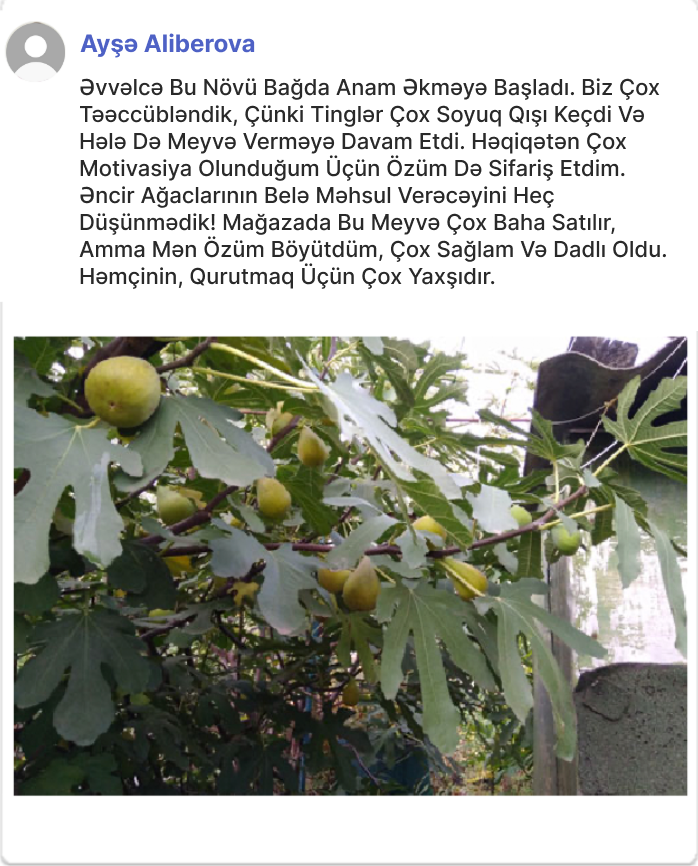 Заголовок
