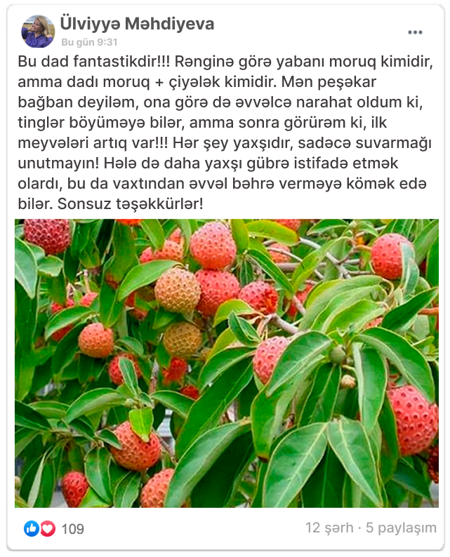 Заголовок
