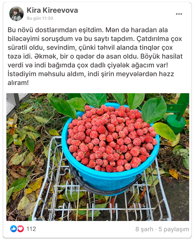 Заголовок