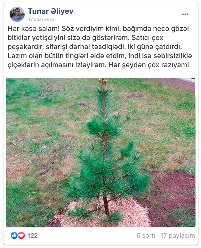 Заголовок