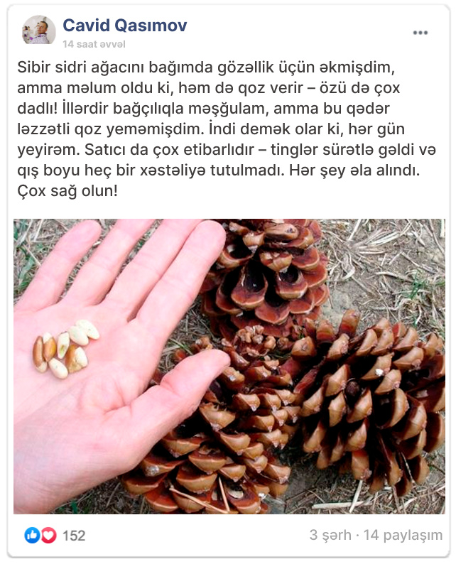 Заголовок