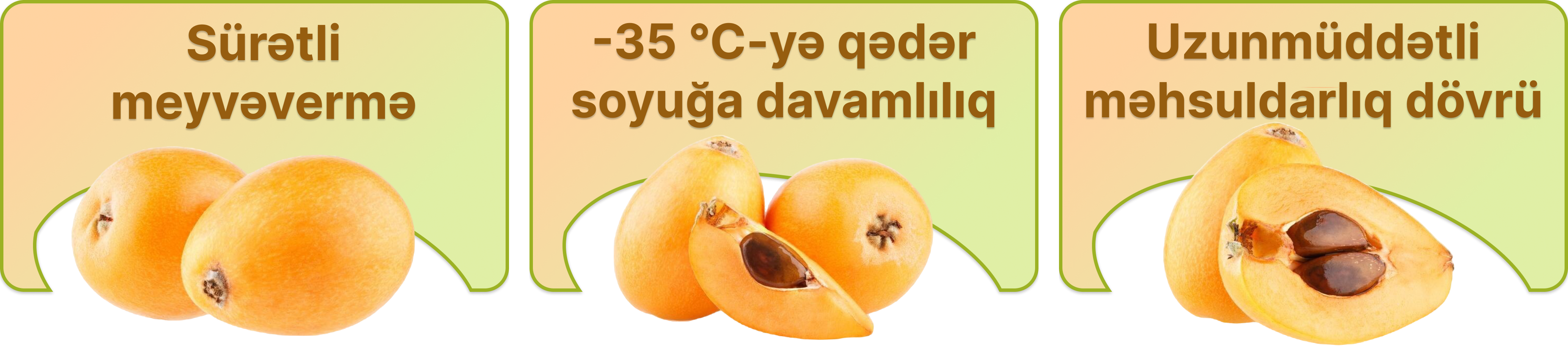 Заголовок