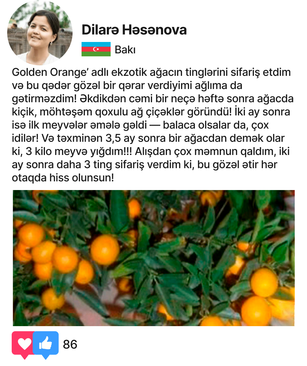 Заголовок