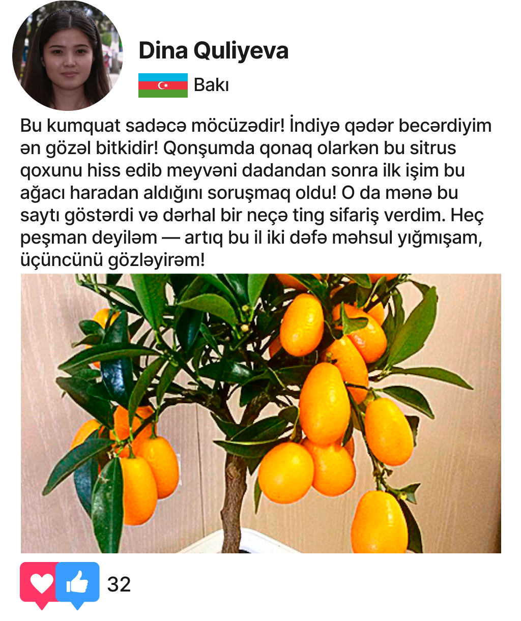 Заголовок