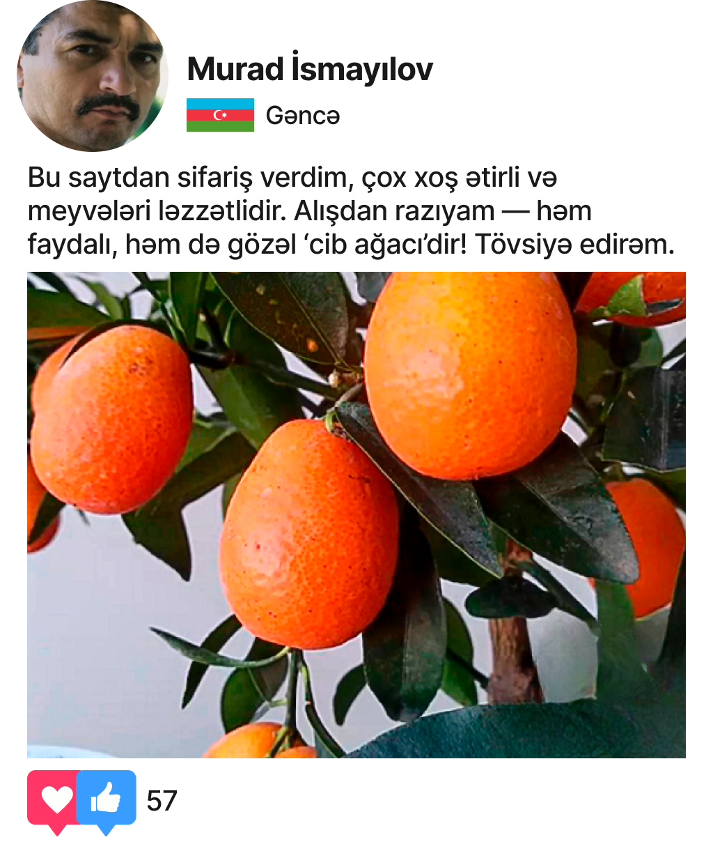 Заголовок