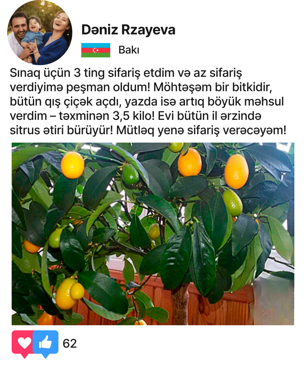 Заголовок