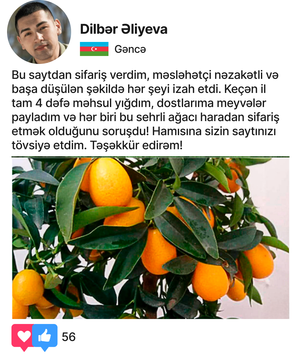 Заголовок