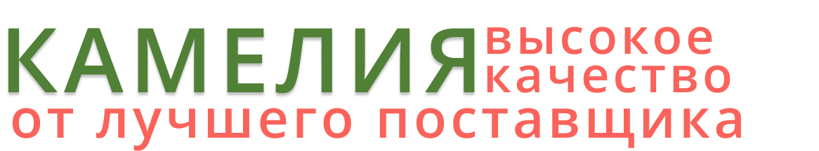 Image title