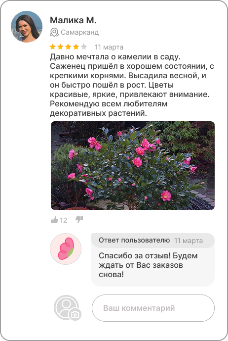 Image title
