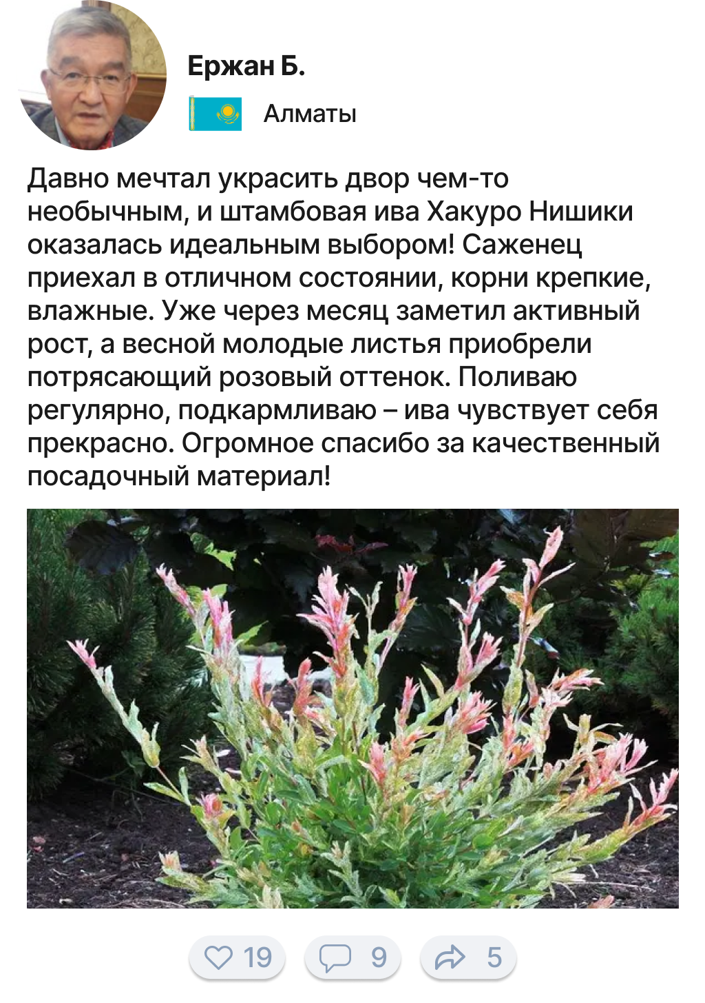 Заголовок