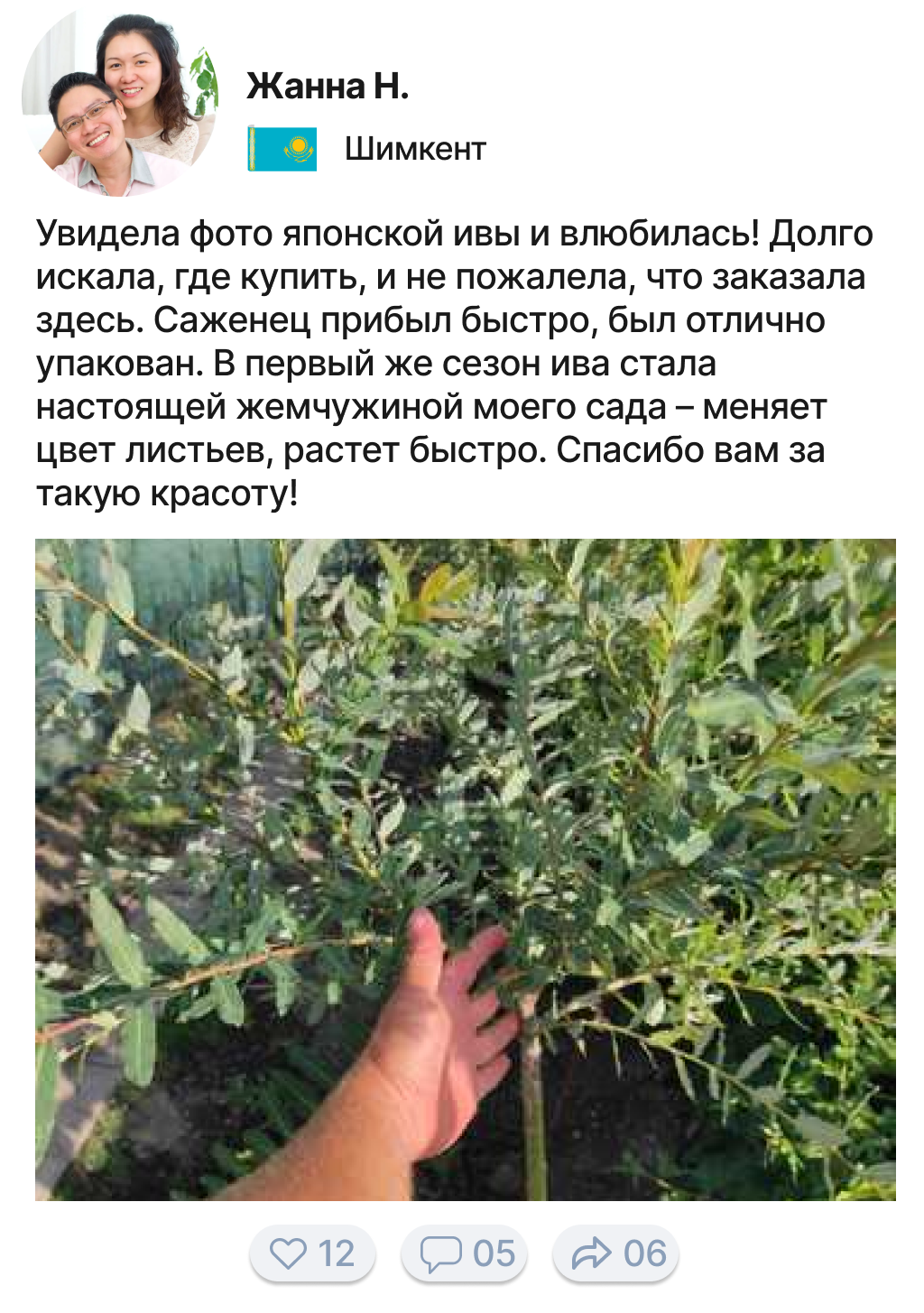 Заголовок
