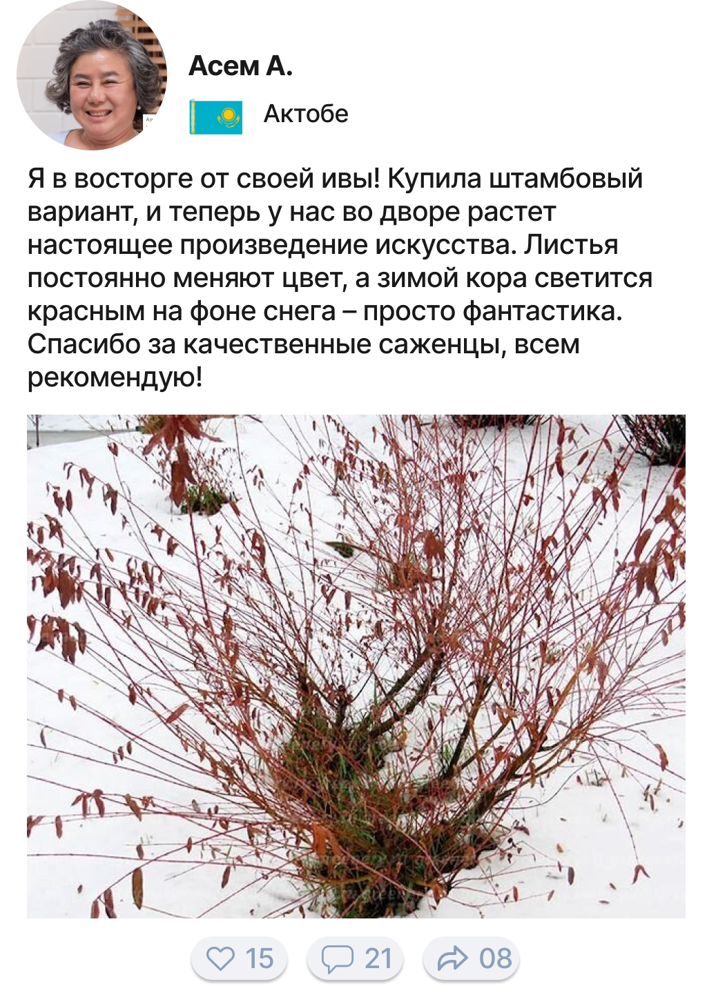 Заголовок