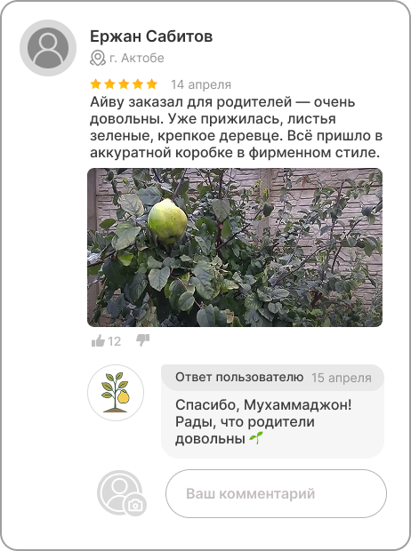 Image title
