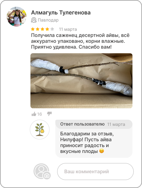 Image title