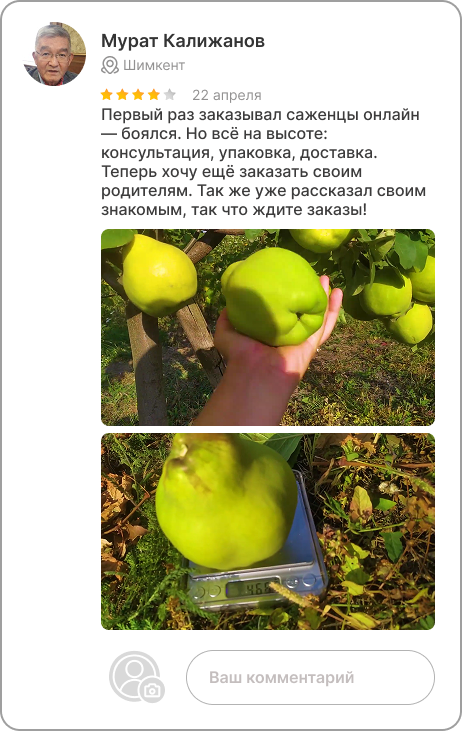 Image title
