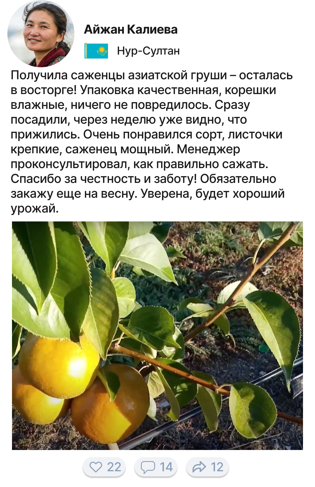 Image title