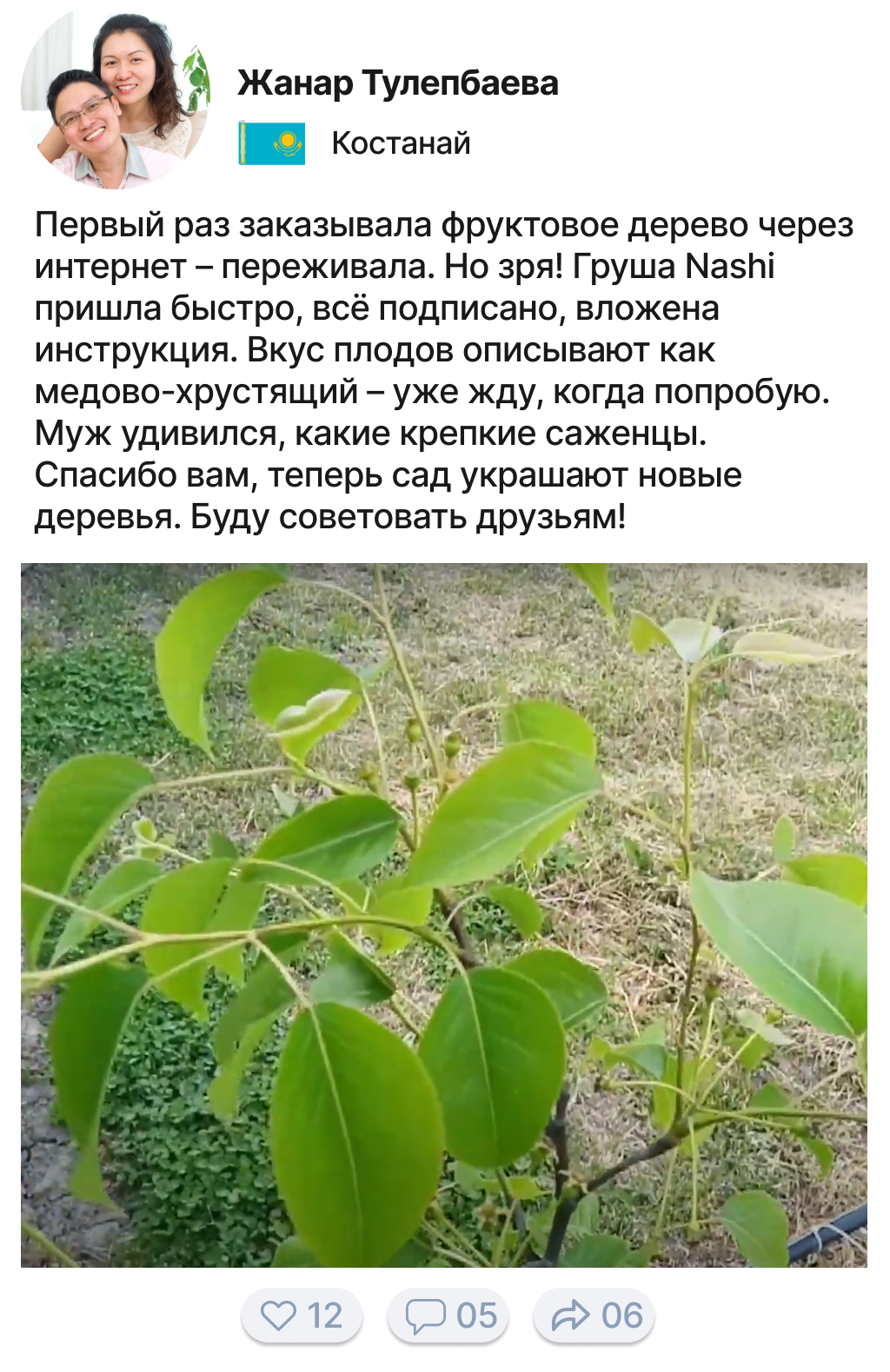 Image title