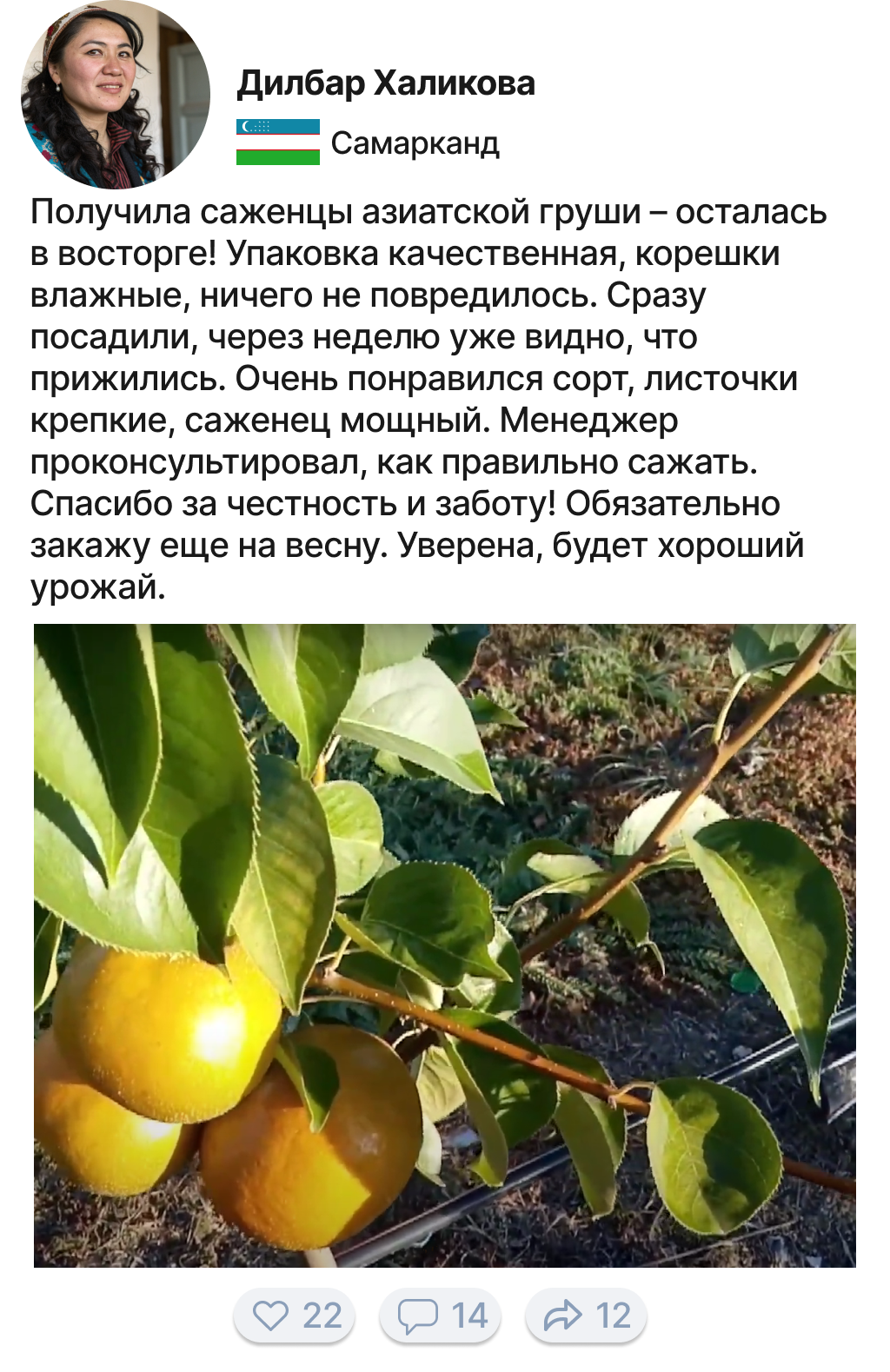 Image title