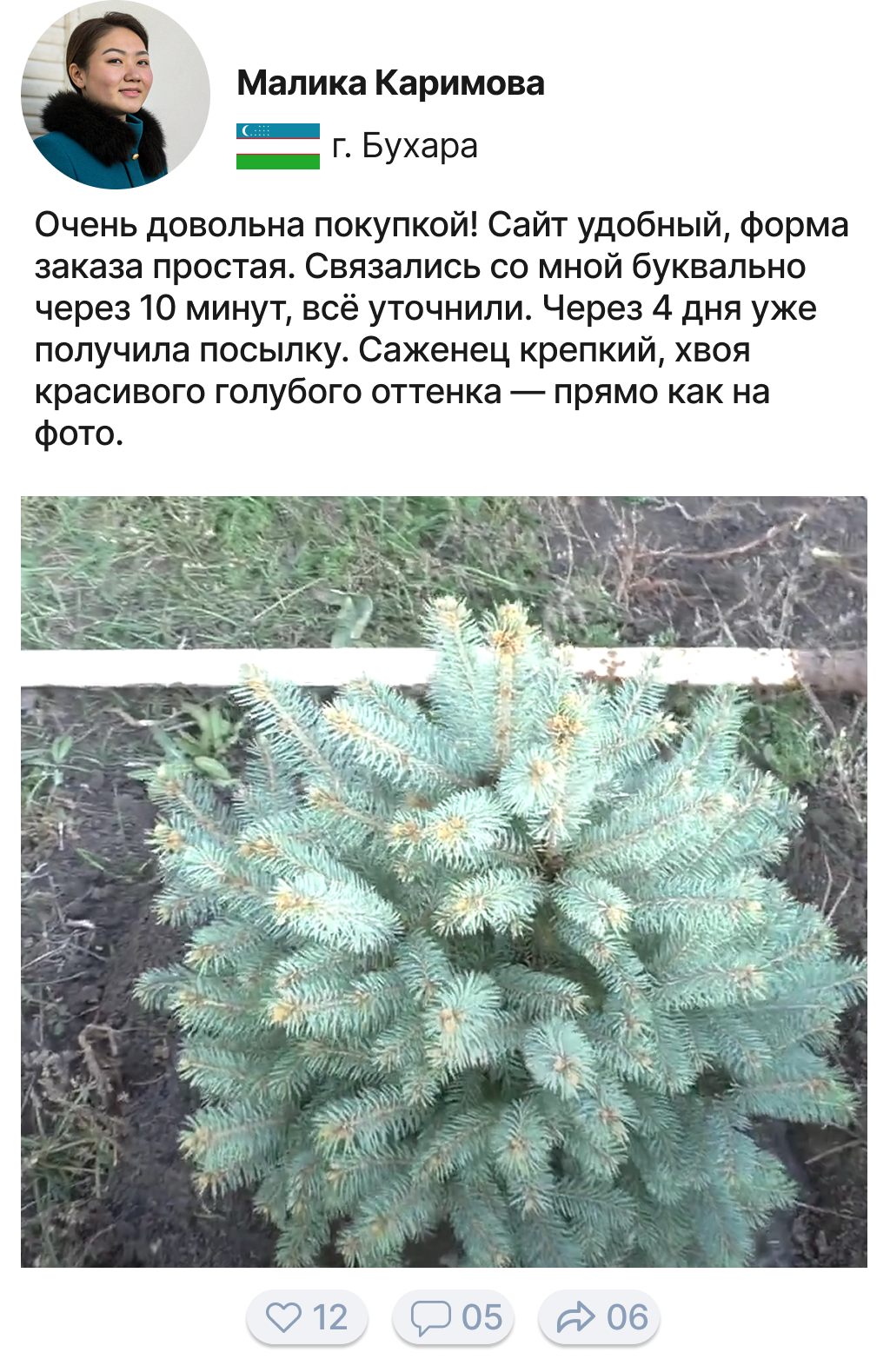 Image title