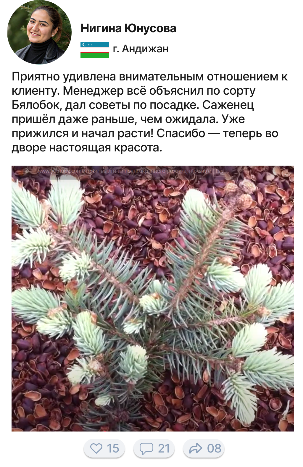Image title