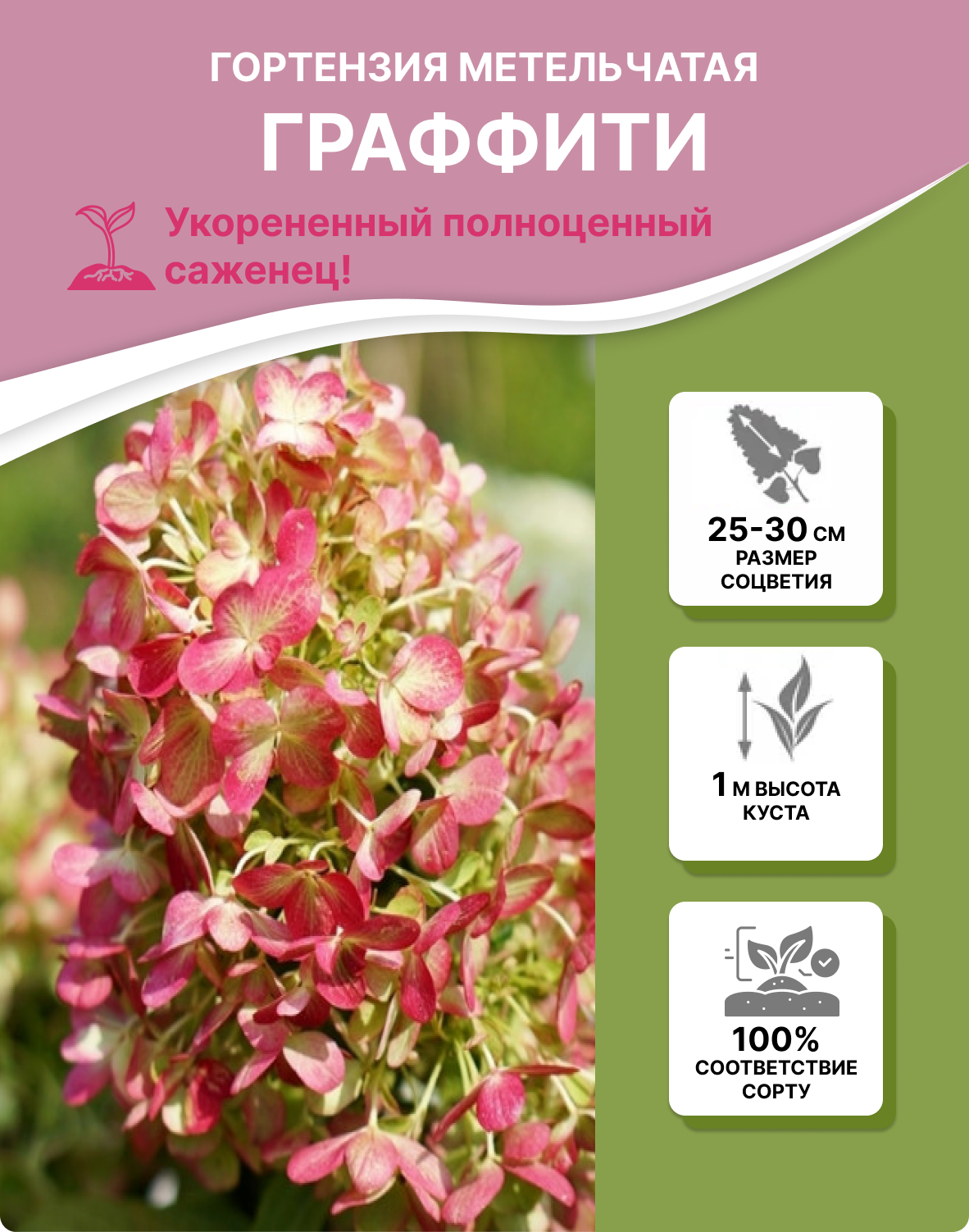 Заголовок