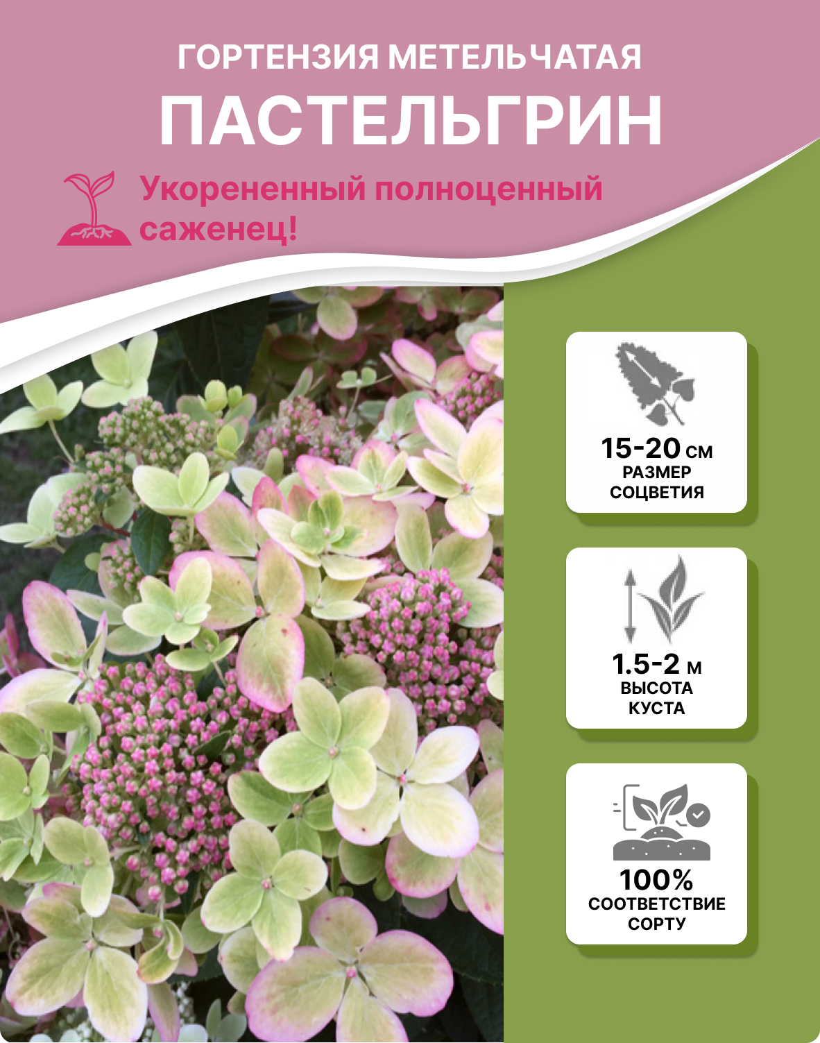 Заголовок