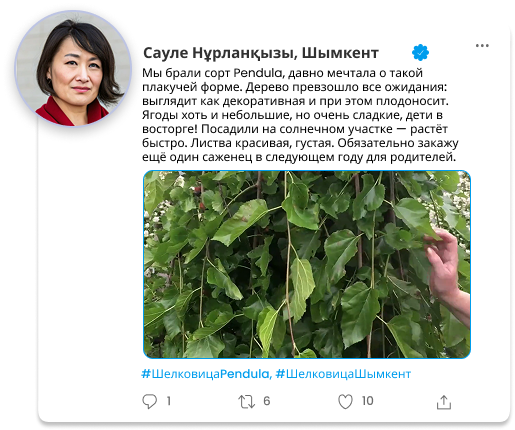 Image title